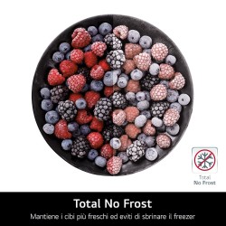 GBV7280DPY LG COMBI 419LT CE.D NOFROST INVERT PRIME SILVER