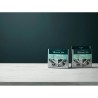 M2GCP121 ELECTROLUX CLEAN AND CARE 3IN1 X LAVASTOVIGLIE/LAVATRICE 12PZ